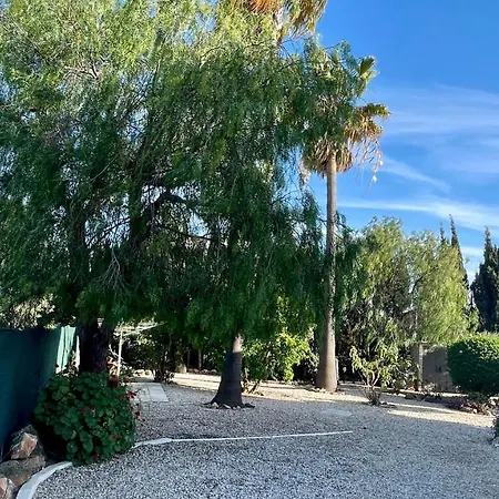 Nicola By Check-in Portugal