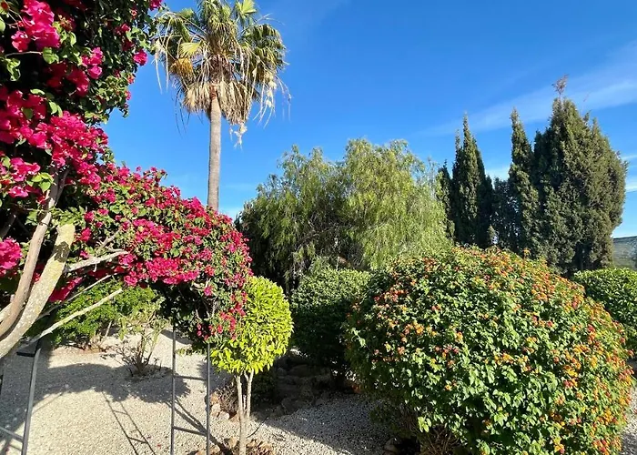 فيلة Nicola By Check-in Portugal